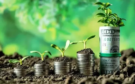 Які програми підтримки фермерів можуть не отримати фінансування у 2026 році