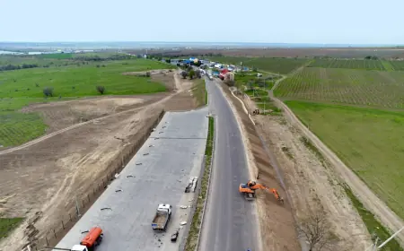 Біля кордону з Молдовою споруджується стоянка для фур: це за два кілометри від Румунії
