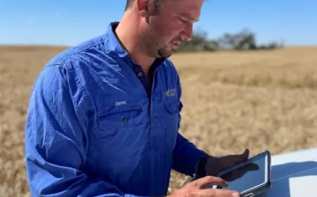 Не інтуїція, а дані: досвід фермера року з Австралії