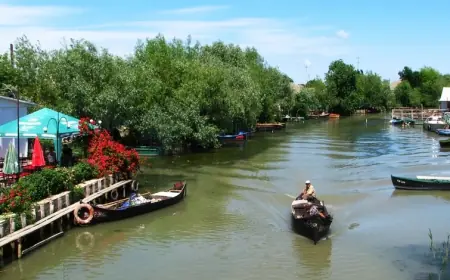 "Дунайка" подешевшала, а пелікани готові позувати для фото: навіщо їхати у Вилкове у травні
