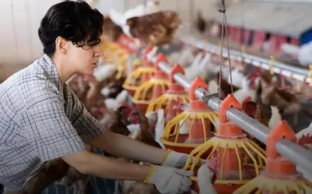 Як фермеру отримати кредит з компенсацією або грант на розвиток