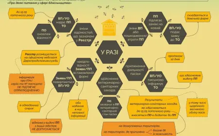 Пасічникам на замітку: до 15 травня потрібно перевірити та оновити дані про пасіку