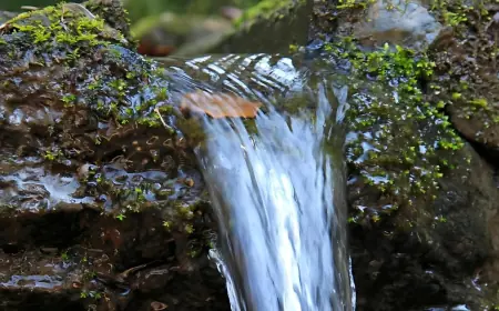Звʼязок між джерелами питної води та хворобою Паркінсона: роль типу водоносних горизонтів