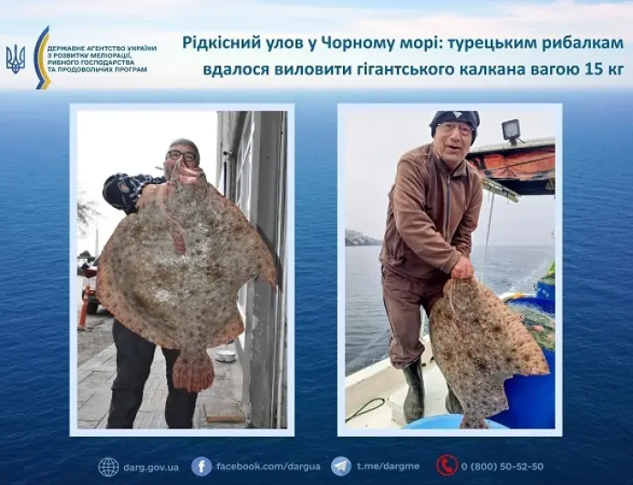 Рідкісний улов у Чорному морі: турецьким рибалкам вдалося виловити гігантського калкана вагою 15 кг