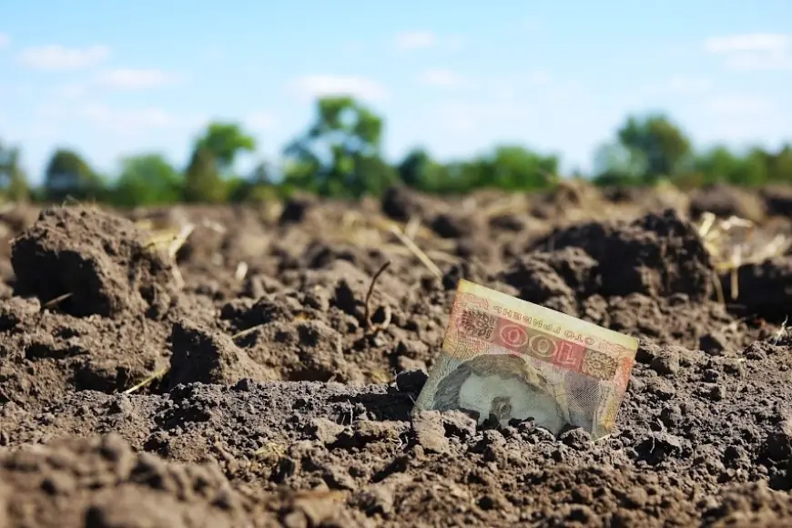 Фермери дедалі частіше стикаються з проблемою подвійного оподаткування землі