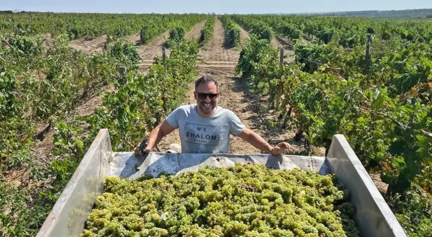 Едуард Городецький: Моє вино — моя особистість