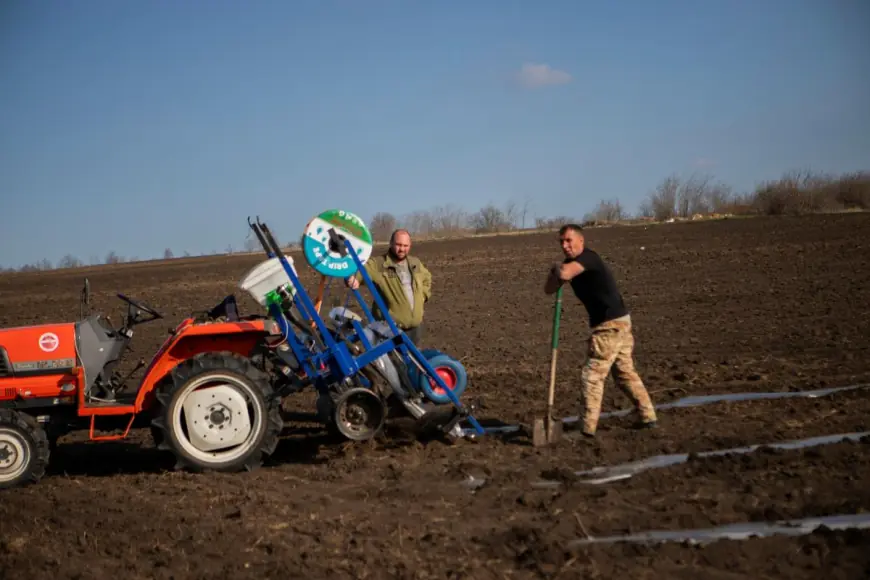 Ветеранський бізнес у Роздільнянському районі: як Микола Троїцький вирощує кавуни та зелень у Володимирівці
