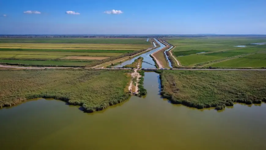 Водойми швидко міліють: озера в Одеській області модернізують