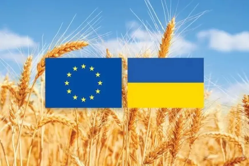 Що потрібно знати виробникам для виходу на європейський ринок