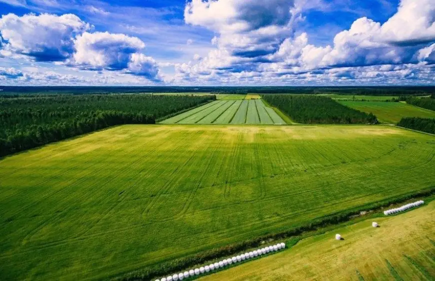 В Україні вирішили змінити оцінку сільгоспземель