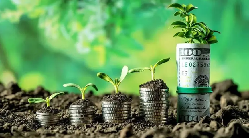 Які програми підтримки фермерів можуть не отримати фінансування у 2026 році