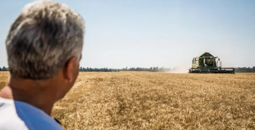 Для аграріїв з прифронтових регіонів запровадять окремі компенсації та пільги