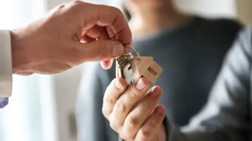 Податкова виходить на "полювання": Кого перевірятимуть у першу чергу