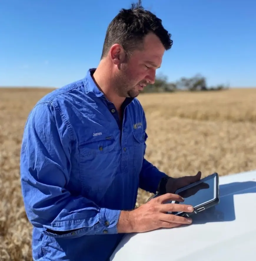 Не інтуїція, а дані: досвід фермера року з Австралії