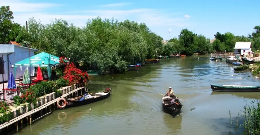"Дунайка" подешевшала, а пелікани готові позувати для фото: навіщо їхати у Вилкове у травні