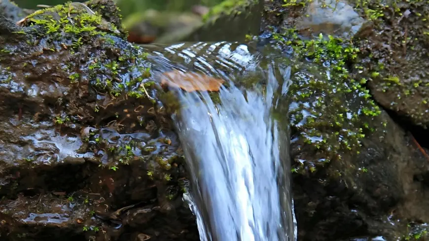 Звʼязок між джерелами питної води та хворобою Паркінсона: роль типу водоносних горизонтів