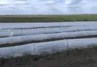 Ветеран з Одещини заснував власну ферму за грантові кошті та працевлаштував побратимів