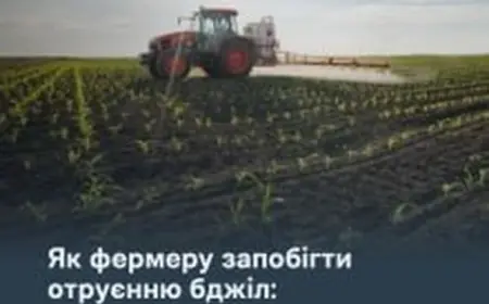 Як фермеру запобігти отруєнню бджіл