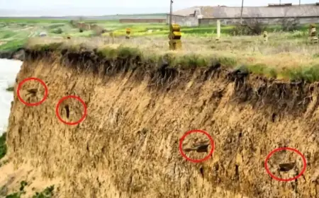 Спадщина під загрозою: як стихія та байдужість нищать козацьку історію Одещини
