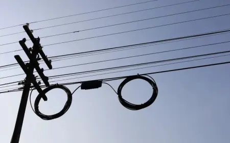 Оптоволоконні кабелі можуть фіксувати та передавати людські розмови поруч — дослідження