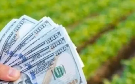 Самовільне захоплення: як повернути землю та стягнути гроші за її незаконне використання?