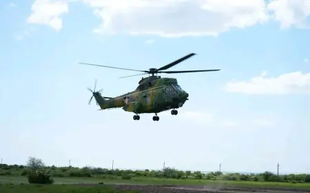 У Румунії завершилися міжнародні військові навчання Mărășești-2026