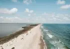 Чи варто їхати в Сергіївку цього літа: що зараз з морем, лиманом і санаторіями