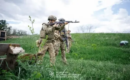 Годі азартних ігор — держава мухлює: чому військові жорстко розкритикували нові контракти та реформу ЗСУ