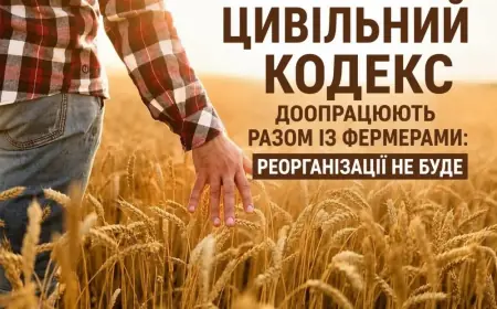 Новий Цивільний кодекс збереже фермерські господарства як окрему форму