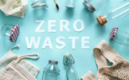 Zero Waste: практичні кроки до філософії розумного споживання, яка рятує планету