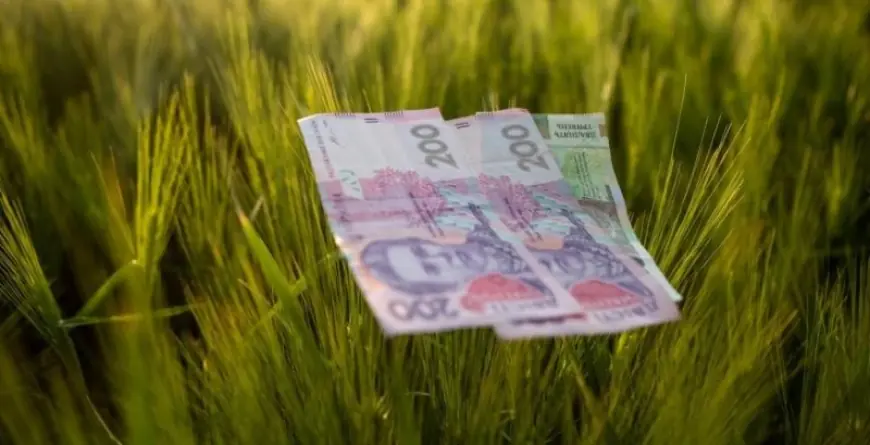 В ДАР стартував прийом заявок на безвідсоткові кредити для фермерів