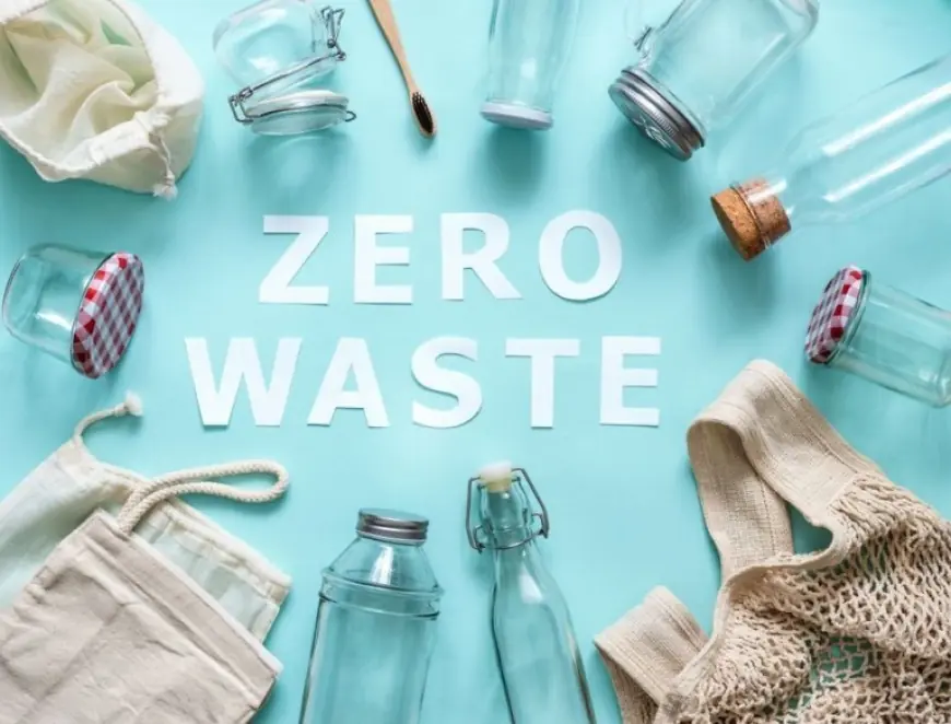 Zero Waste: практичні кроки до філософії розумного споживання, яка рятує планету