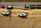 Україна змінює агросектор за правилами ЄС: які нові можливості отримають фермери
