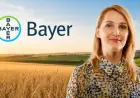 Як керівник аграрного підрозділу Bayer бачить майбутнє українського агро