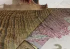 ВАР закликає владу підтримати сільгоспвиробників, які зазнають збитків унаслідок бойових дій