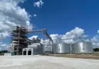 На Одещині викрили схему заволодіння зерновим елеватором на 70 млн гривень