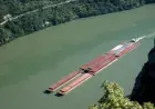 Ставки фрахту на Дунаї зросли вдвічі з посиленням обстрілів "рф" портів Великої Одеси — ASAP Agri