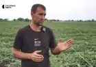 "Або пан, або пропав": як ветеран з Одещини виростив урожай кавунів попри морози й ураган