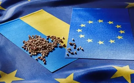 Посол ЄС: Україна може використати свої переваги в агросекторі без участі в системі європейських субсидій