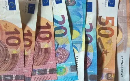 Перехід України на євро: в Нацбанку зробили заяву щодо скасування гривні