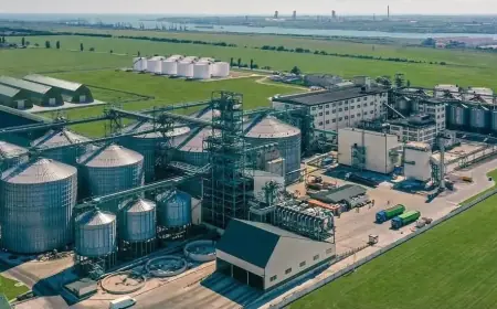 Один з найбільших експортерів олійних призупинив роботу в Україні через російські атаки на порти Одещини