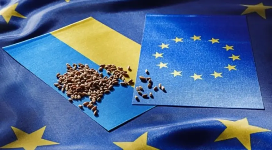 Посол ЄС: Україна може використати свої переваги в агросекторі без участі в системі європейських субсидій