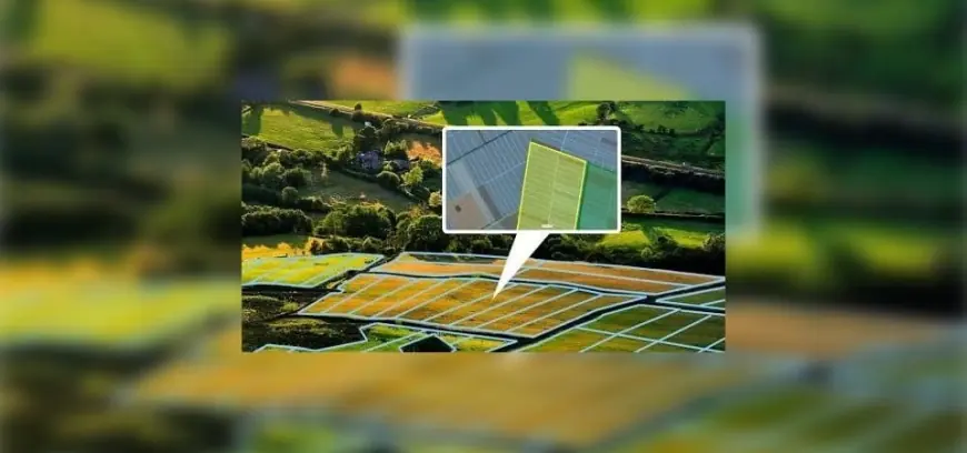 Землю доведеться переоформити: українцям дадуть лише три роки після ухвалення нового закону