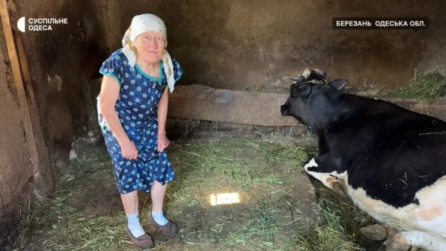 "Хоч хліба не буде, а молока вип'єш": як на Одещині живуть люди, які досі тримають корів