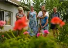 Півень на воротах: як родина з Харкова почала нове життя в болгарському селі на Одещині