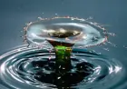 Вода на вагу золота: як зберегти водні ресурси півдня Одещини