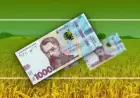 Агросектор України потребує до 550 млрд грн на осінньо-весняний період