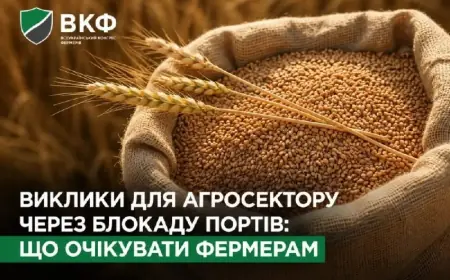 Виклики для агросектору через блокаду портів: що очікувати фермерам