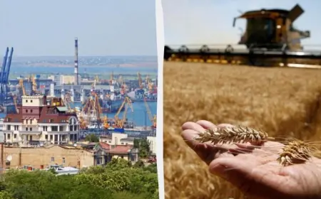 російські удари по десятках зерновозів біля України загрожують світовим поставкам їжі, — NYT