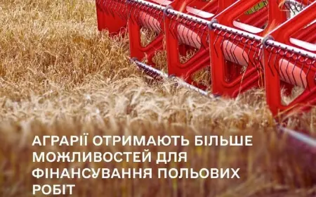 Уряд удосконалив умови пільгового кредитування для сільськогосподарських товаровиробників
